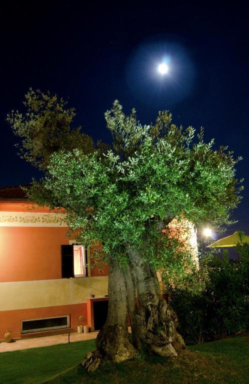 Apartment Olivium La Spezia